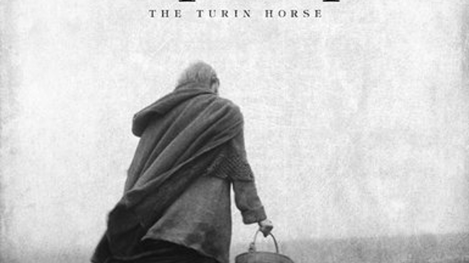 Туринская Лошадь (2011)